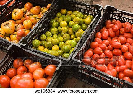Organic Tomatoes at Market Nantucket, Massachusetts NO MR NO PR View Large Photo Image Picture - Organic Tomatoes at Market Nantucket, Massachusetts NO MR NO PR. Fotosearch