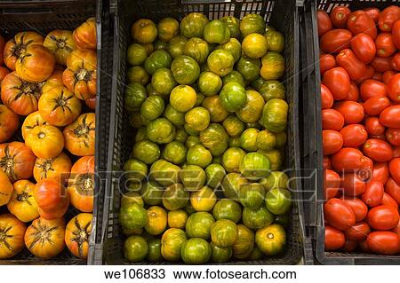 Organic Tomatoes at Market Nantucket, Massachusetts NO MR NO PR View Large Photo Image Stock Image - Organic Tomatoes at Market Nantucket, Massachusetts NO MR NO PR. Fotosearch