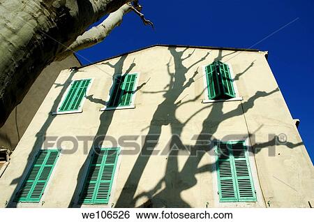 Plane tree Platanus casting shadows on a quaint building on Boulevard Eugene Pierre, Marseille, France View Large Photo Image Stock Photograph - Plane tree Platanus casting shadows on a quaint building on Boulevard Eugene Pierre, Marseille, France. Fotosearch