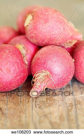 Radishes View Large Photo Image Stock Image - Radishes. Fotosearch