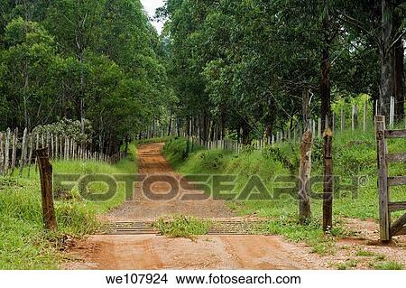 Rural road in the state of Minas Gerais Brazil View Large Photo Image Picture - Rural road in the state of Minas Gerais Brazil. Fotosearch