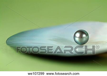 Stock Photo - Single Polynesian black pearl sitting on an oyster. Fotosearch
