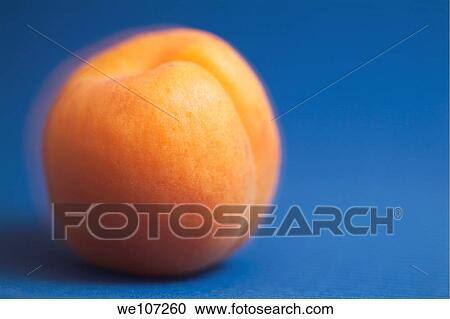 Stock Image - Single ripe apricot ready to eat. Fotosearch