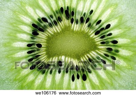 Stock Photograph - Sliced Kiwi Fruit. Fotosearch
