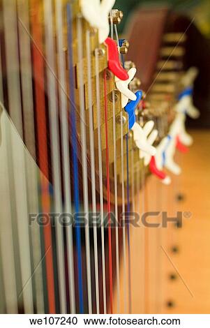 Strings lined up in a row and tightly stretched on a harp View Large Photo Image Stock Image - Strings lined up in a row and tightly stretched on a harp. Fotosearch