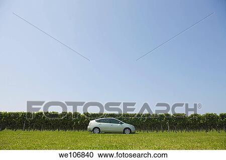 Stock Image - Toyota Prius Hybrid Automobile in Vineyard Newport, Rhode Island NO MR No PR. Fotosearch