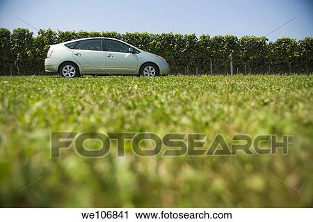 Toyota Prius Hybrid Automobile in Vineyard Newport, Rhode Island NO MR No PR View Large Photo Image Stock Image - Toyota Prius Hybrid Automobile in Vineyard Newport, Rhode Island NO MR No PR. Fotosearch