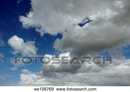 White puffy cloudy floating in a blue sky, Pointe du Grouin, France View Large Photo Image Stock Photo - White puffy cloudy floating in a blue sky, Pointe du Grouin, France. Fotosearch