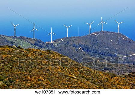 Wind turbines on cliff above sea, Tarifa, Andalusia, Spain View Large Photo Image Stock Image - Wind turbines on cliff above sea, Tarifa, Andalusia, Spain. Fotosearch