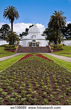 温室 の 花 ゴールデンゲートパーク サンフランシスコ カリフォルニア アメリカ 写真館 イメージ館 We1086 Fotosearch