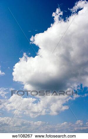 白 ふんわりしている 雲 中に A 青い空 写真館 イメージ館 We1067 Fotosearch