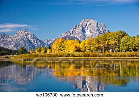 Autumn foliage in the Grand Teton mountain range View Large Photo Image Stock Image - Autumn foliage in the Grand Teton mountain range. Fotosearch