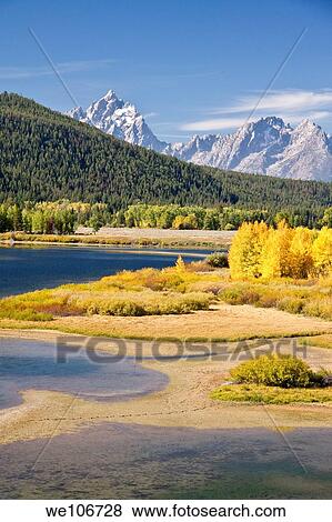 Autumn foliage in the Grand Teton mountain range View Large Photo Image Stock Photo - Autumn foliage in the Grand Teton mountain range. Fotosearch