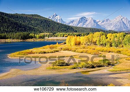 Autumn foliage in the Grand Teton mountain range View Large Photo Image Stock Photo - Autumn foliage in the Grand Teton mountain range. Fotosearch