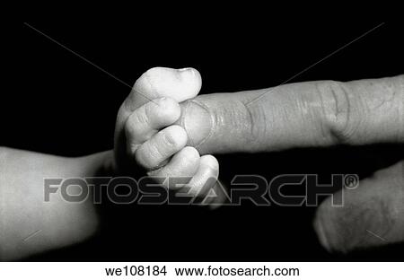 Father's finger touching his baby's foot View Large Photo Image Picture - Father's finger touching his baby's foot. Fotosearch