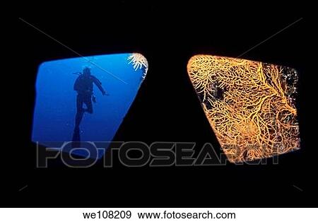 Stock Photo - Looking through a diving mask of a diver at a diver and coral. Fotosearch