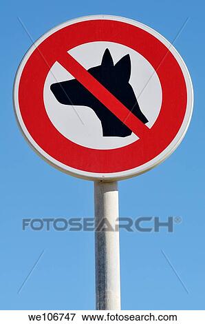 No dogs sign View Large Photo Image Stock Photo - No dogs sign. Fotosearch