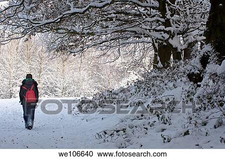 Woman walking along a snow covered path in Redditch, Worcestershire UK View Large Photo Image Stock Image - Woman walking along a snow covered path in Redditch, Worcestershire UK. Fotosearch