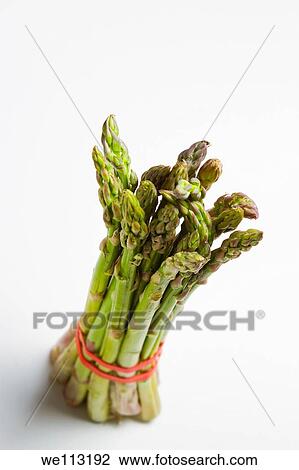 fresh wild asparagus View Large Photo Image Stock Image - fresh wild asparagus. Fotosearch