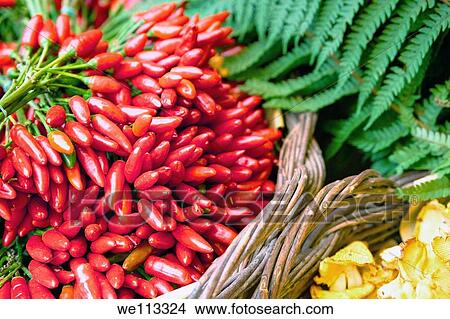 Picture - Red peppers. Fotosearch