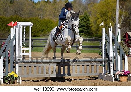 Teenage girl on Gray horse clearing a jump at an outdoor equestrian show competition View Large Photo Image Stock Image - Teenage girl on Gray horse clearing a jump at an outdoor equestrian show competition. Fotosearch