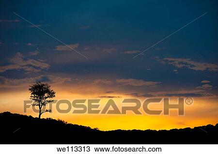Texas Ranch Landscape Sunset View Large Photo Image Stock Image - Texas Ranch Landscape Sunset. Fotosearch