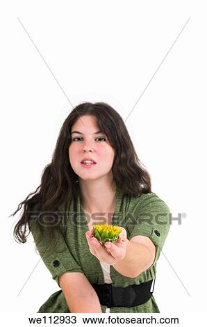 Young female teen offers the viewer a sunflower in the palm of her hand Focus on flower View Large Photo Image Stock Image - Young female teen offers the viewer a sunflower in the palm of her hand Focus on flower. Fotosearch