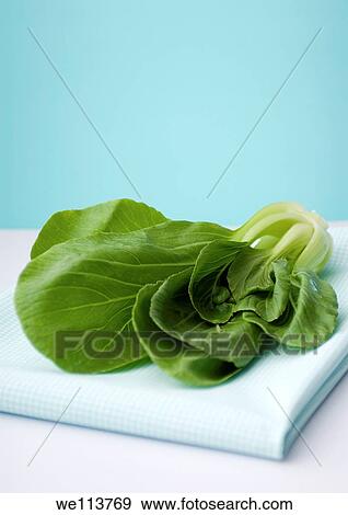 Stock Photo - Bok choy Brassica rapa - Chinese cabbage. Fotosearch