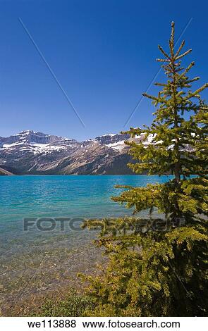 Bow Lake, Icefields Parkway, Alberta, Canada View Large Photo Image Stock Photo - Bow Lake, Icefields Parkway, Alberta, Canada. Fotosearch