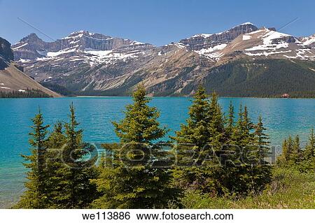 Bow Lake, Icefields Parkway, Alberta, Canada View Large Photo Image Stock Photograph - Bow Lake, Icefields Parkway, Alberta, Canada. Fotosearch