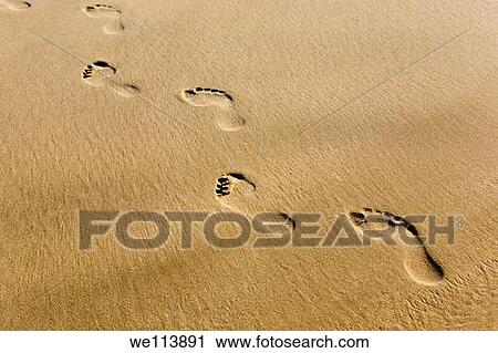 Footprints in the sand View Large Photo Image Stock Image - Footprints in the sand. Fotosearch