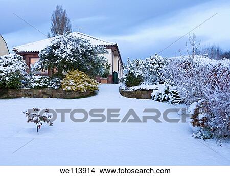 Front garden of bungalow in winter snow, Wirral, Merseyside, England View Large Photo Image Picture - Front garden of bungalow in winter snow, Wirral, Merseyside, England. Fotosearch