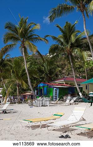 Inviting lounge chairs on the beach in front of colorful shack with palm trees in British Virgin Islands View Large Photo Image Stock Photo - Inviting lounge chairs on the beach in front of colorful shack with palm trees in British Virgin Islands. Fotosearch