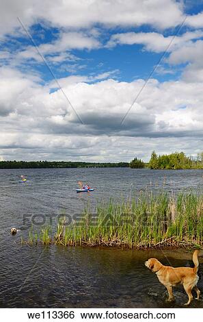 Stock Photograph - Kayakers and dogs at west end of Silver Lake Provincial Park Ontario at Highway 7. Fotosearch