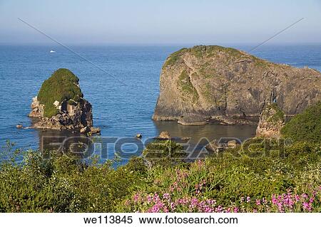 Oregon Coastline, Brookings, USA View Large Photo Image Stock Photography - Oregon Coastline, Brookings, USA. Fotosearch