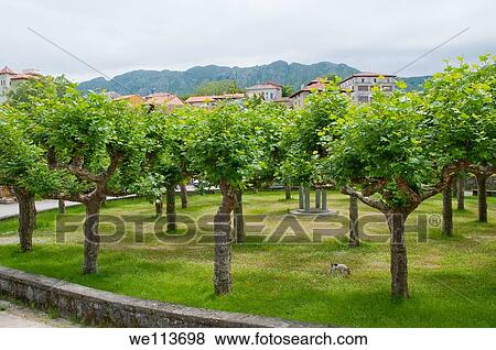 Park. Porrúa, Asturias province, Spain. View Large Photo Image Stock Photo - Park. Porrúa, Asturias province, Spain.. Fotosearch