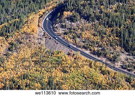 Scenic road curving through yellow aspen trees and evergreens in Rocky Mountain National Park in Colorado View Large Photo Image Stock Image - Scenic road curving through yellow aspen trees and evergreens in Rocky Mountain National Park in Colorado. Fotosearch