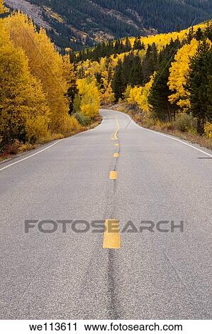 Scenic road through Colorado mountains with yellow aspen trees and evergreens in autumn View Large Photo Image Stock Image - Scenic road through Colorado mountains with yellow aspen trees and evergreens in autumn. Fotosearch