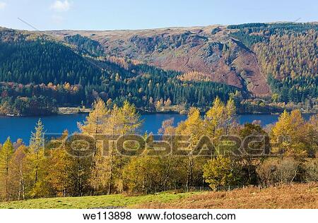 Thirlmere, Lake District, Cumbria, England View Large Photo Image Stock Photo - Thirlmere, Lake District, Cumbria, England. Fotosearch