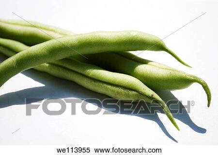 Three Green Beans freshly picked on a white background View Large Photo Image Stock Photography - Three Green Beans freshly picked on a white background. Fotosearch