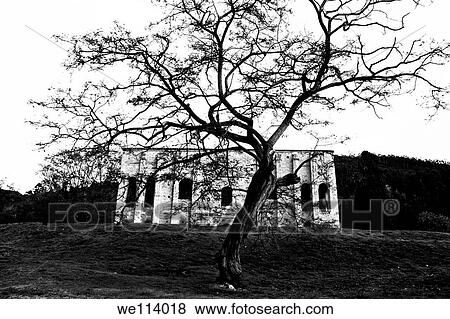Pre-romanesque church of Santa Maria del Naranco behind a tree View Large Photo Image Stock Photo - Pre-romanesque church of Santa Maria del Naranco behind a tree. Fotosearch