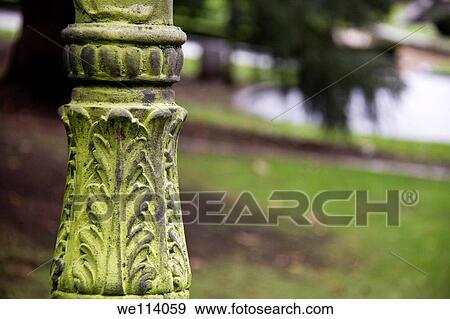Streetlight on a park View Large Photo Image Stock Photo - Streetlight on a park. Fotosearch