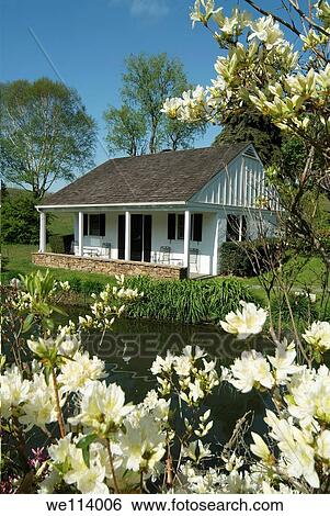 Whitewing Farm Bed and Breakfast, Chester County, Kennett Square, Pennsylvania, white wooden cottage with azalea flowers. View Large Photo Image Stock Photograph - Whitewing Farm Bed and Breakfast, Chester County, Kennett Square, Pennsylvania, white wooden cottage with azalea flowers.. Fotosearch