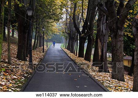 Woman walking with a dog in a park View Large Photo Image Stock Photo - Woman walking with a dog in a park. Fotosearch