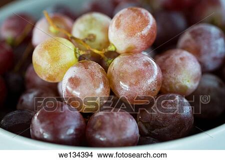 Grapes. View Large Photo Image Picture - Grapes.. Fotosearch