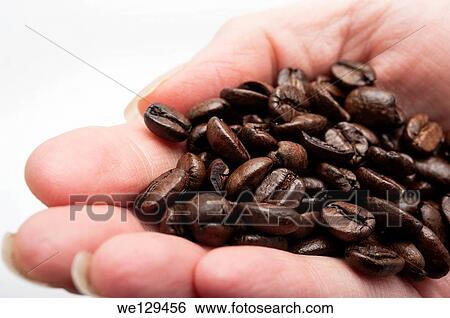 Stock Photograph - Womans hand holding a handfull of loose fresh roasted brown coffee beans.. Fotosearch