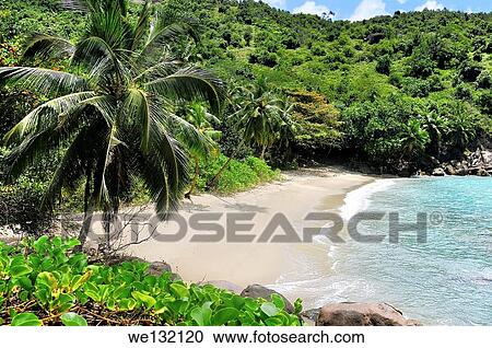 Anse Major, Beach on Mahé, Seychelles. View Large Photo Image Stock Image - Anse Major, Beach on Mahé, Seychelles.. Fotosearch