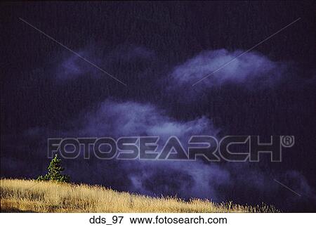 Stock Photo - A dark sky and a single tree on top of a hill. Fotosearch