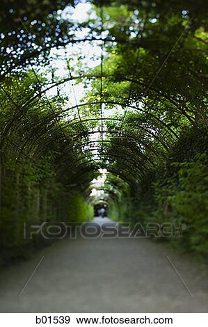 A path with trees View Large Photo Image Stock Photo - A path with trees. Fotosearch