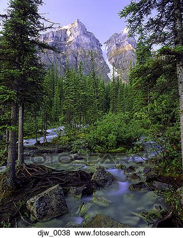 A river flowing through a forest View Large Photo Image Stock Photo - A river flowing through a forest. Fotosearch